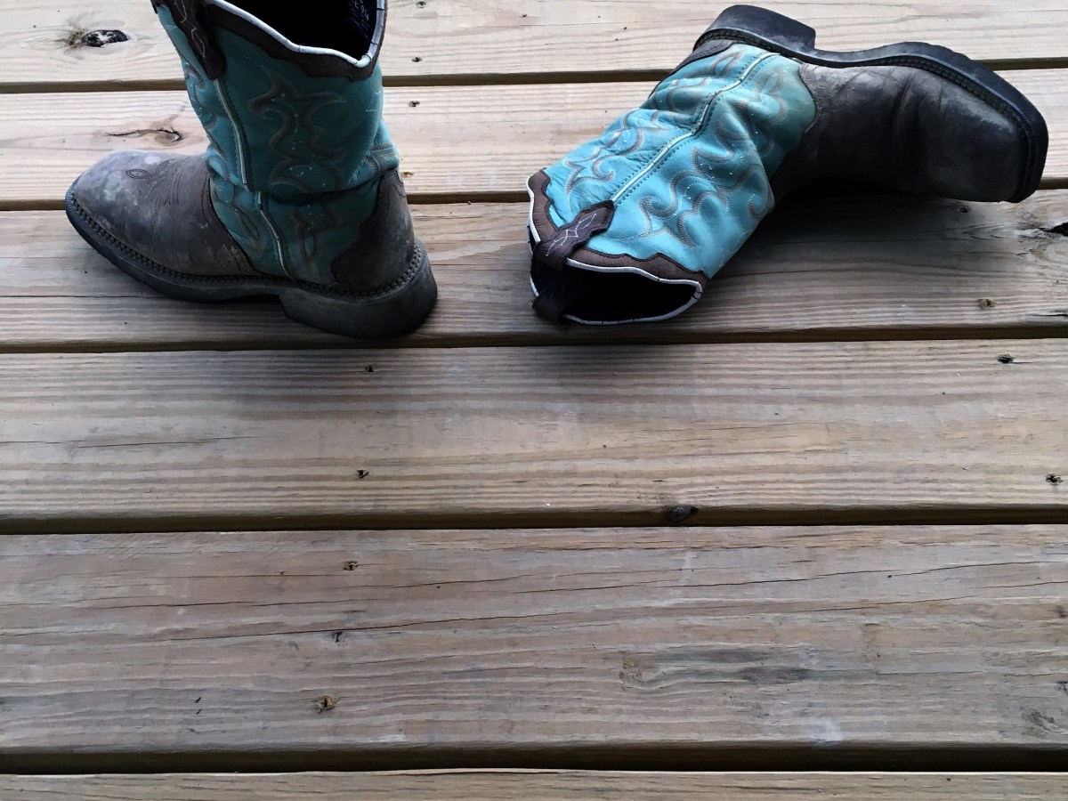 it’s not all elk and&nbsp;sunsets