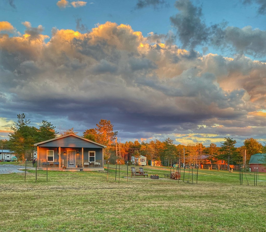 Could it be my last fall...